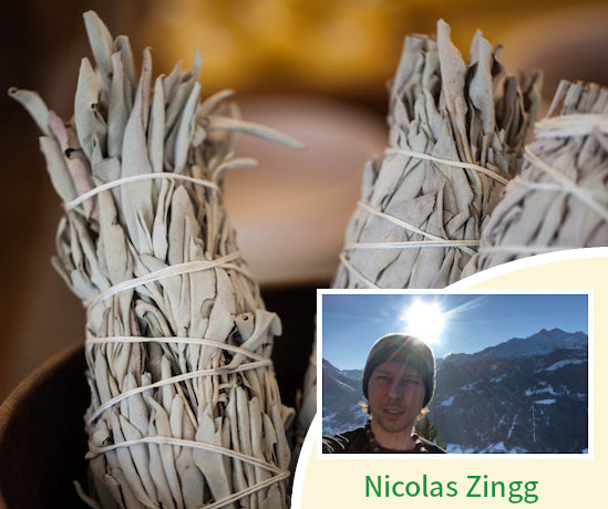 Nicolas Zingg purification a la sauge